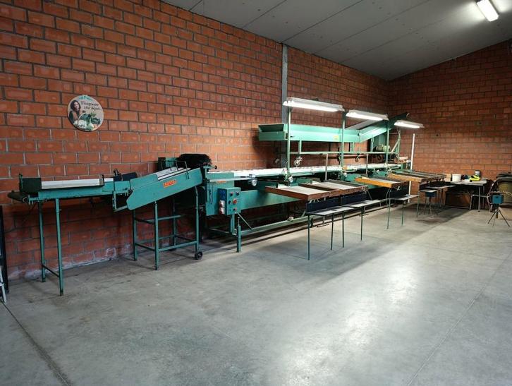 sorteermachine tomaten appelen fruit groenten trieermachine, Zakelijke goederen, Landbouw | Aardappelen, Groenten, Fruit en Vlees