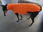 Pull levrier, Dieren en Toebehoren, Hondenkleding, Verzenden, Nieuw, Hondenjas