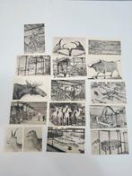 Lot 14 postkaarten KBIN Brussel – dino’s & fossielen 1930, Ophalen of Verzenden, Ongelopen