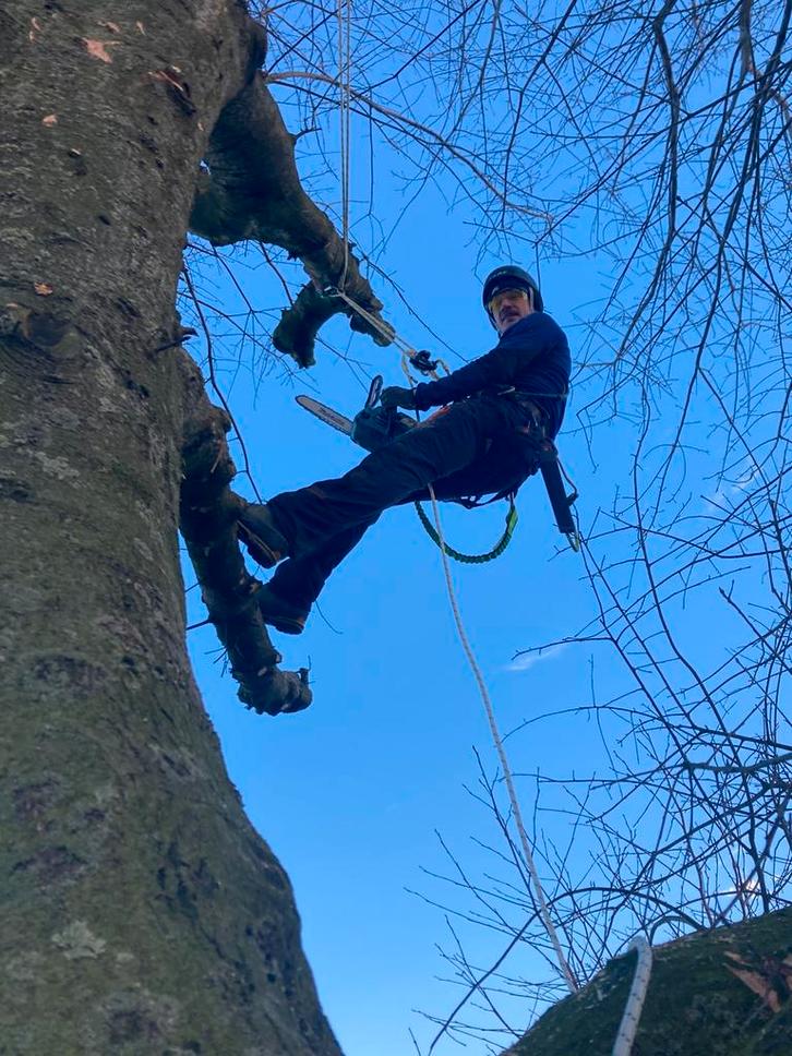 Boomverzorger, Diensten en Vakmensen, Tuinmannen en Stratenmakers