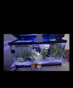 Aquarium 58L plus 4 neon visjes en 4 kreeftjes + alle toebeh, Dieren en Toebehoren, Ophalen, Zo goed als nieuw