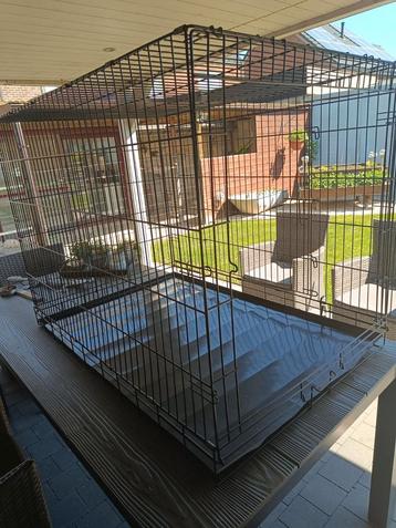 Hondenbench  beschikbaar voor biedingen