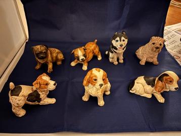 Honden beelden 4 rassen , samen of in delen te koop, Enlèvement ou Envoi, Utilisé, Animal