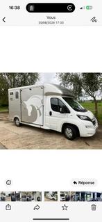 Camionette equitrek 2 places permis b, Enlèvement, Comme neuf