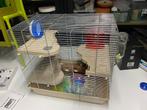 hamsterkooi, Dieren en Toebehoren, Ophalen, Kooi