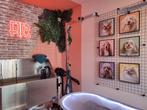 Salon de coiffure pour chiens/Salon de toilettage FUR à West, Animaux & Accessoires, Enlèvement ou Envoi