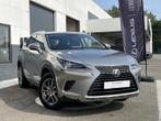 Lexus NX 300H Executive Line, Auto's, Automaat, 114 kW, 2494 cc, https://public.car-pass.be/vhr/19ff1560-cfba-453e-8b9f-e883593827d9