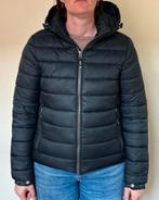 Winterjas Superdry, Kleding | Dames, Jassen | Winter, Ophalen, Zo goed als nieuw, Maat 42/44 (L), Zwart