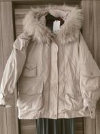 Nieuw donsjas, Kleding | Dames, Jassen | Winter, Beige, Nieuw, Maat 36 (S), Ophalen
