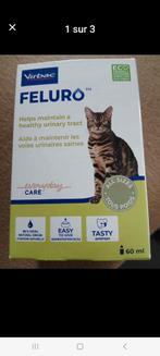 FELURO chat +  Hill'S mousse, Enlèvement, Chat