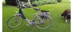 BATAVUS electrishe fiets, Fietsen en Brommers, Ophalen, Gebruikt, Batavus
