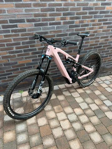 Moustache beschikbaar voor biedingen