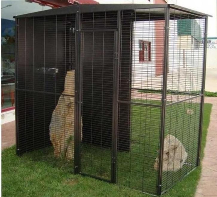 Volière de jardin 2x1x2 m cage ara cage perroquet amazone, Dieren en Toebehoren, Vogels | Hokken en Kooien, Volière, Metaal, Verzenden