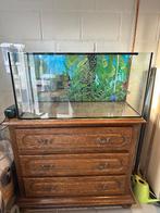 Aquarium met toebehoren te koop, Dieren en Toebehoren, Ophalen, Zo goed als nieuw
