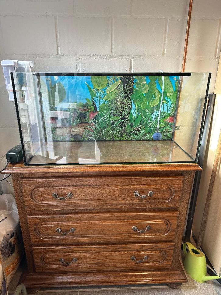 Aquarium met toebehoren te koop, Dieren en Toebehoren, Vissen | Aquaria en Toebehoren, Zo goed als nieuw, Ophalen