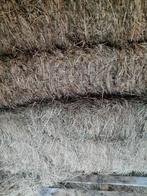 Hooi, grote balen, 2x1.2x0.7m, Dieren en Toebehoren, Ophalen
