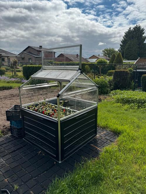 Tuinserre 1,2m op 1,2m (Canopia Palram plant inn), Tuin en Terras, Bergingen en Tuinkasten, Nieuw, Ophalen