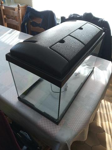 Rena Aquarium met lamp 60 x 29 x 32 beschikbaar voor biedingen