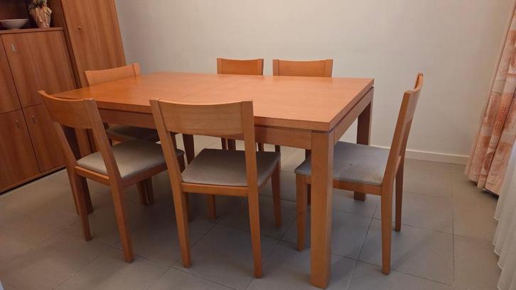 Eettafel met 6 stoelen + verlengstuk, Huis en Inrichting, Tafels | Eettafels, Zo goed als nieuw, 50 tot 100 cm, 150 tot 200 cm