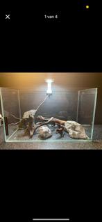 Aquarium te koop, Ophalen, Zo goed als nieuw
