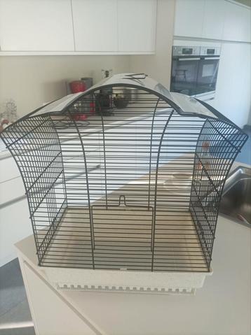 Kanarie kooi, Dieren en Toebehoren
