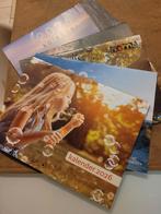 Kalender 2026 ,5stuks gratis, Ophalen