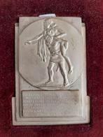 Médaille bronze 1947 + écrin d'origine P.Degreef, BRUXELLES, Collections, Collections Autre, Comme neuf, Enlèvement ou Envoi