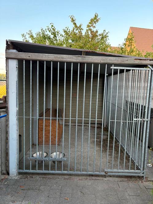 Hondenren panelen, Dieren en Toebehoren, Hondenhokken, Gebruikt, Hondenkennel, 100 cm of meer, 110 cm of meer, Ophalen