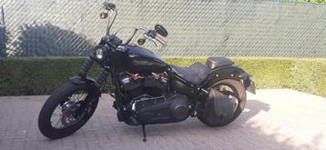 harley davidson, Particulier