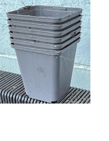 vierkante P9 potjes harde plastiek 9 X 10 cm beschikbaar voor biedingen