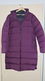 NIEUWE DONSJAS Jack Wolfskin maat XL (=46), Kleding | Dames, Paars, Maat 46/48 (XL) of groter, Nieuw, Ophalen of Verzenden