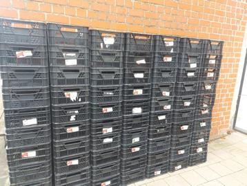 Kweekbakken beschikbaar voor biedingen