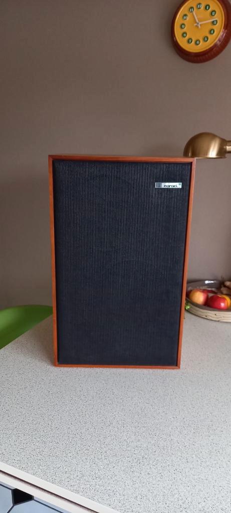 Carad c435 luidsprekers jaren 70, TV, Hi-fi & Vidéo, Enceintes, Utilisé, Haut-parleurs Frontaux, Arrière ou Stéréo, Moins de 60 watts