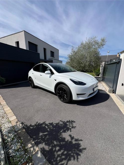 Tesla model y, Auto's, Tesla, Particulier, Model Y, Elektrisch, Automaat, Ophalen