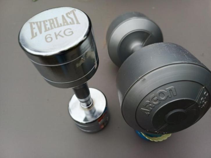 DUMBBELL HALTERS, Sport en Fitness, Fitnessmaterialen, Gebruikt, Dumbbell, Armen, Borst, Ophalen