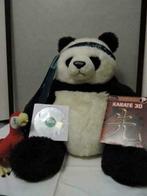 SYMPA ! Lot de jeux PC Karaté 3D + dessin animé Rio, Games en Spelcomputers, Games | Pc, Ophalen of Verzenden, Nieuw, Overige genres