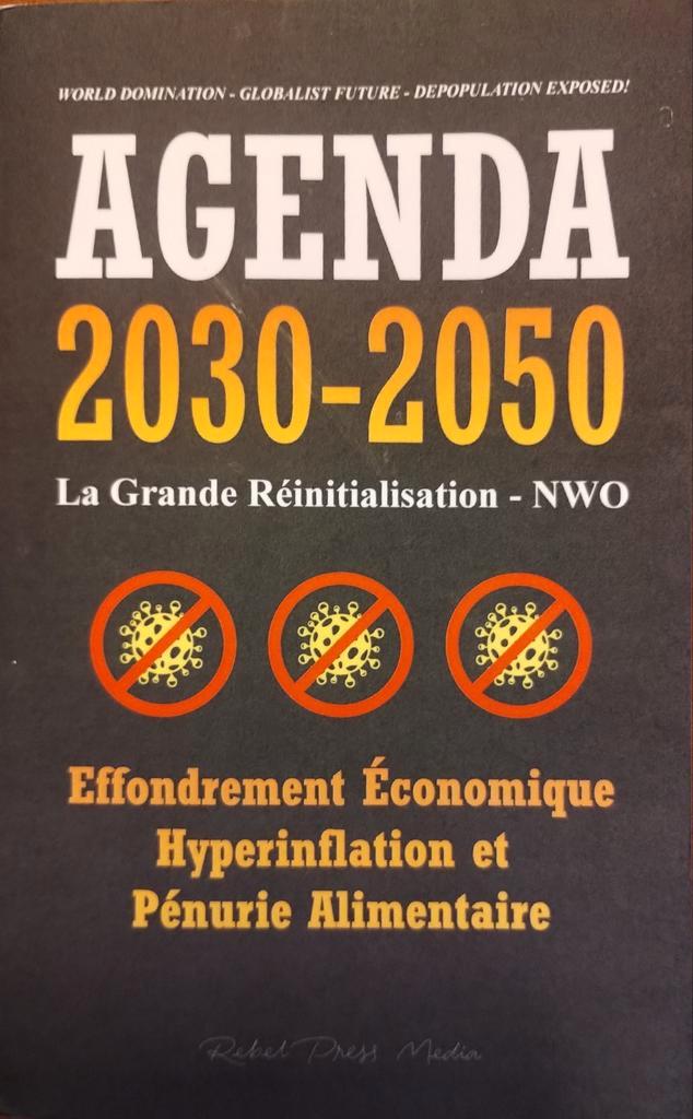 La Grande Réinitialisation, Livres, Histoire mondiale, Comme neuf
