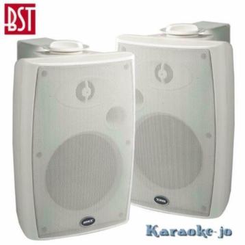 BST 370TW 100Volt Luidspreker set 2-weg 40 Watt beschikbaar voor biedingen