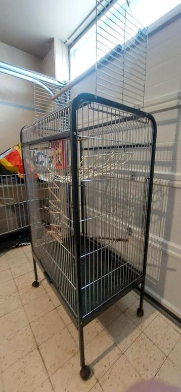 Papegaaienkooi  beschikbaar voor biedingen