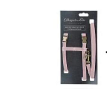 Nieuw tuigje + riem voor kat of kleine hond (max 5 kg) beschikbaar voor biedingen