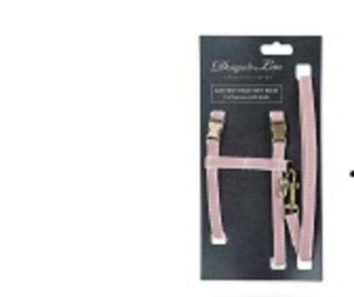 Nieuw tuigje + riem voor kat of kleine hond (max 5 kg), Dieren en Toebehoren, Honden-accessoires, Nieuw, Ophalen