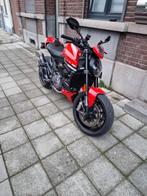 Monstre 937+ 2021, Motoren, Particulier