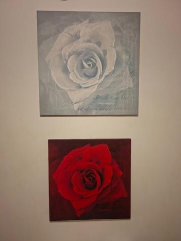 Roos fotokader (2 stuks) beschikbaar voor biedingen