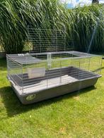 Groot konijnenkooi / cavia kooi, Ophalen, Zo goed als nieuw, Kooi, Cavia