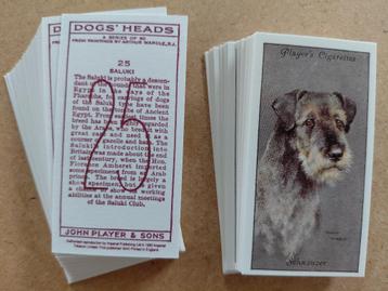 Dogs' Heads complete set 50 chromos honden REPRO  beschikbaar voor biedingen