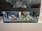 Aquarium, Ophalen, Zo goed als nieuw