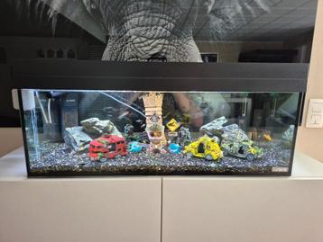 Aquarium  beschikbaar voor biedingen
