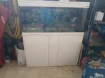 Complete Aquarium met alle toebehoren!, Ophalen, Gebruikt
