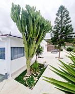 Villa te tenerife, Immo