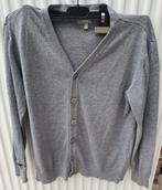 Donker grijze vest/jasje van H&M maat 158-164, Kinderen en Baby's, Kinderkleding | Maat 164, Gebruikt, Trui of Vest, H&M, Ophalen of Verzenden